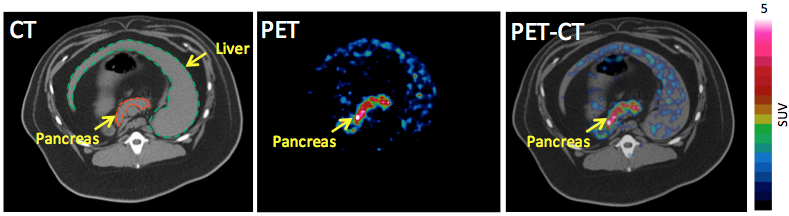 Imaging Pancreatic Beta Cell Mass And Beta Cell Function Sun Xiankai Lab Ut Southwestern 7011