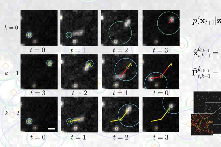 heterogeneous particle