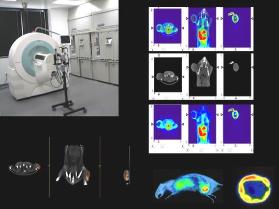 Multi Modality Molecular Imaging Mason Lab Ut Southwestern Dallas