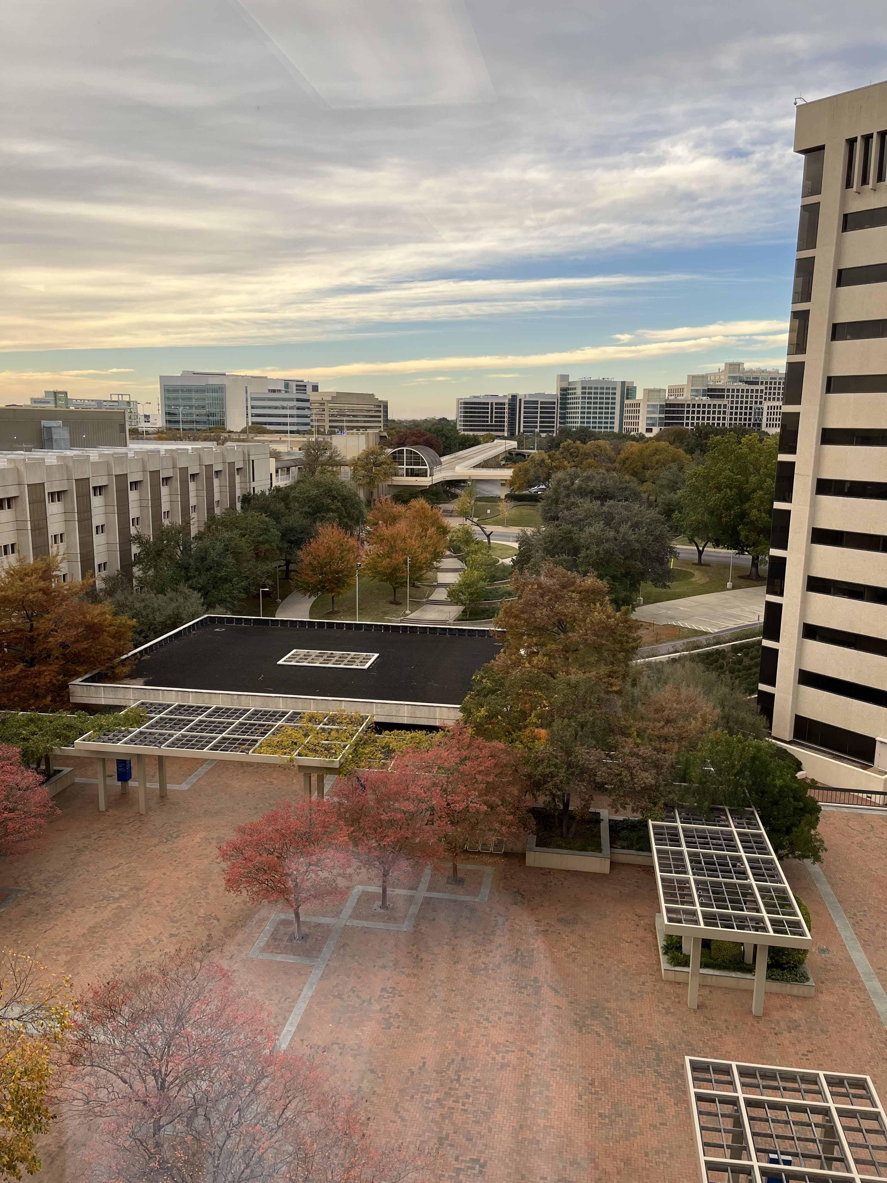 Lab Fun | Wert Lab | UT Southwestern, Dallas, Texas