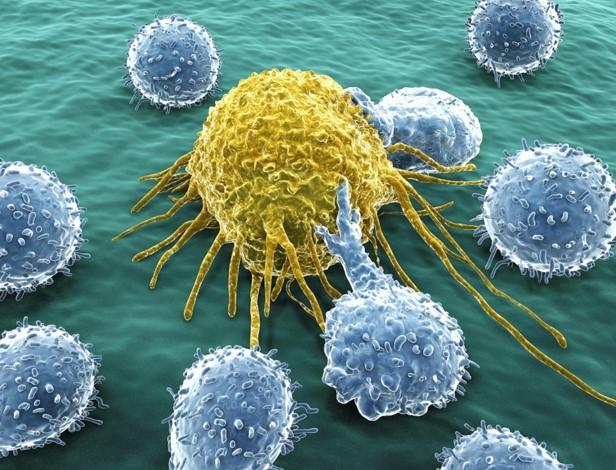 Cancer Innate Immune Therapy