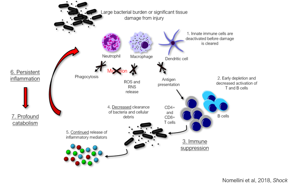 Research | Nomellini Lab | UT Southwestern, Dallas, Texas