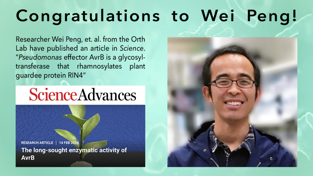 Wei's paper accepted