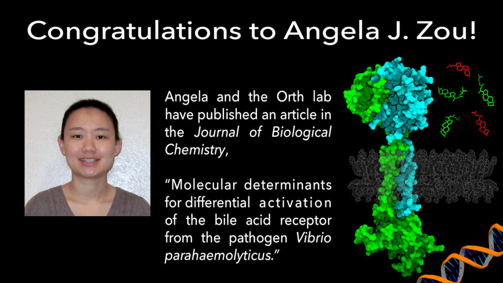 Angela's paper accepted