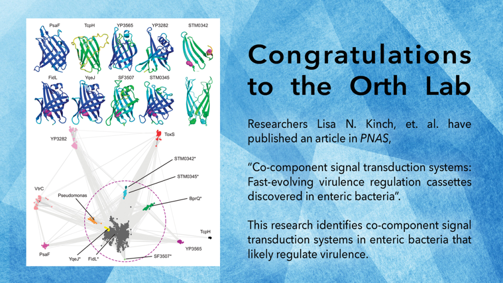 Lisa's Co-component paper accepted