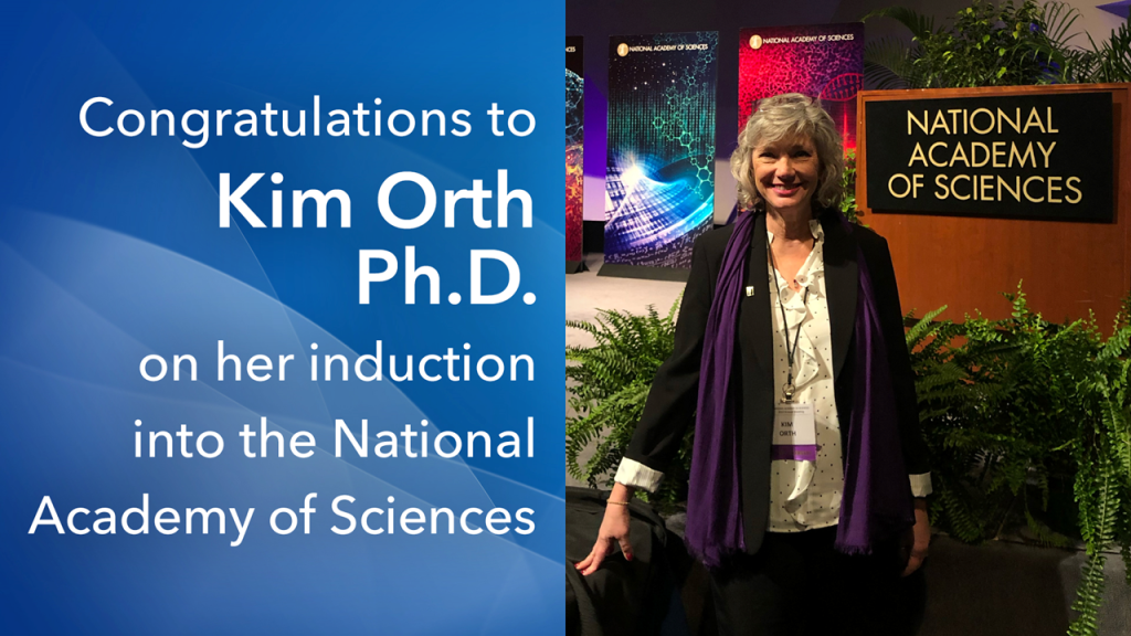 Kim elected into National Academy of Sciences