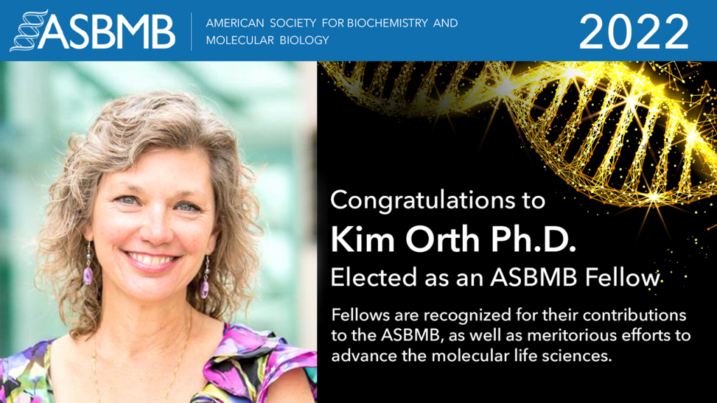Kim elected as ASBMB fellow