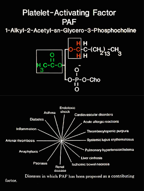 Platelet Activating Factor