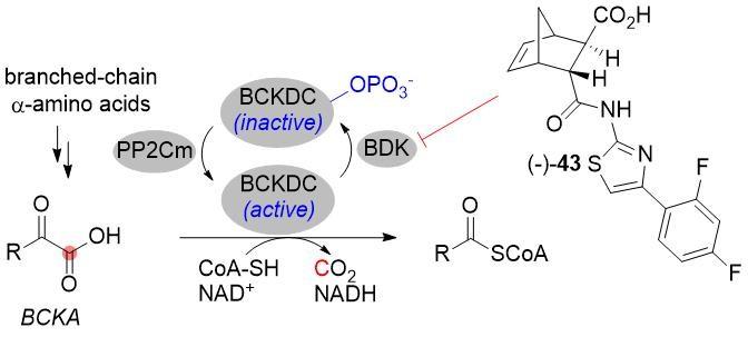 Chemical Compound