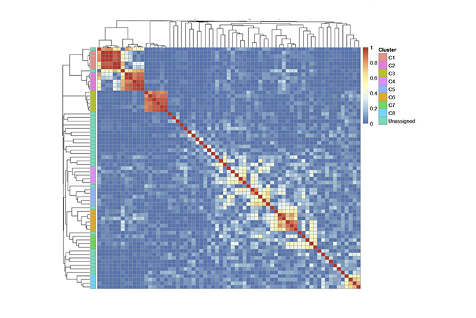 Graph of the mechanism of mutagenesis