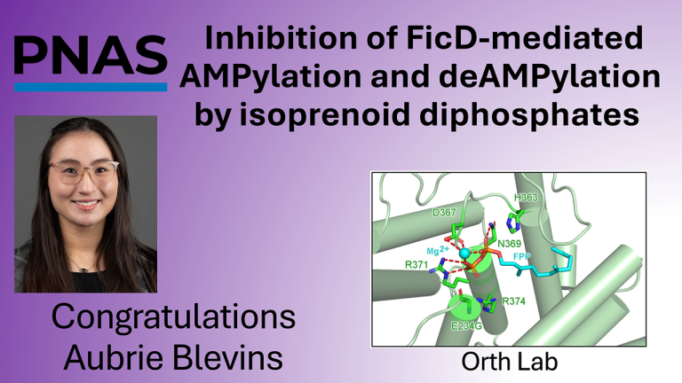 Aubrie's FicD Inhibitor paper accepted in PNAS