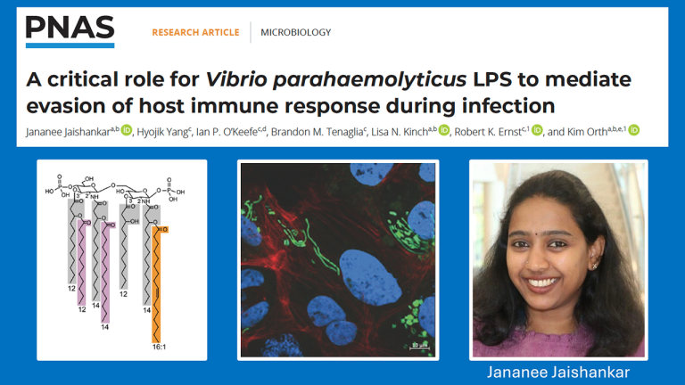 Jananee's paper accepted in PNAS