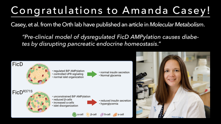 Amanda's paper accepted