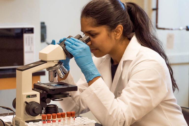Female scientist viewing slides through telescope