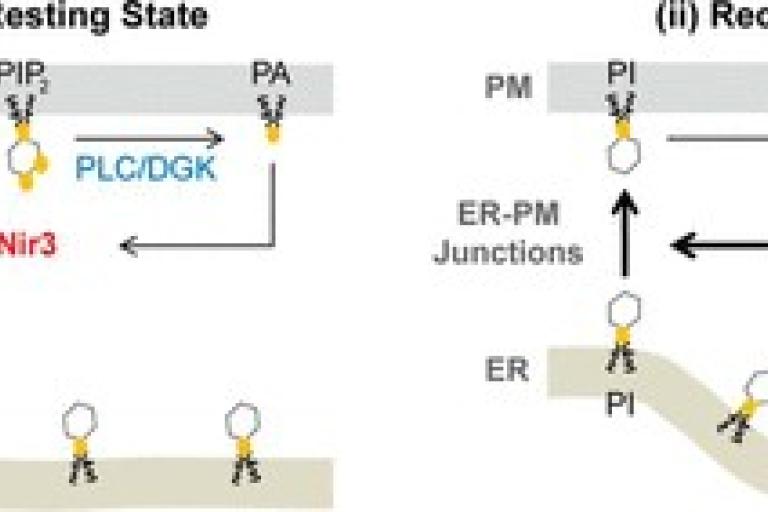 liou lab news image