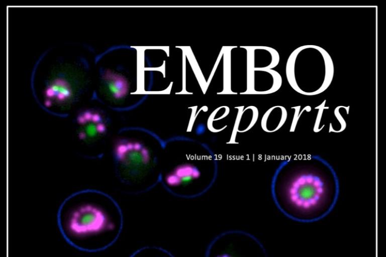 EMBO Reports Cover