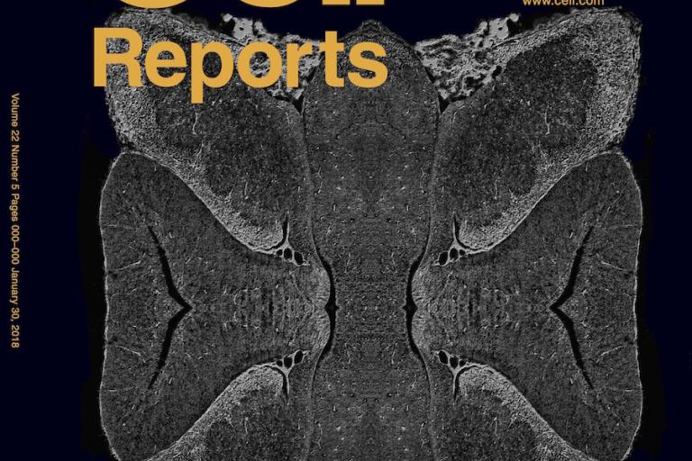 Cover article in Cell Reports