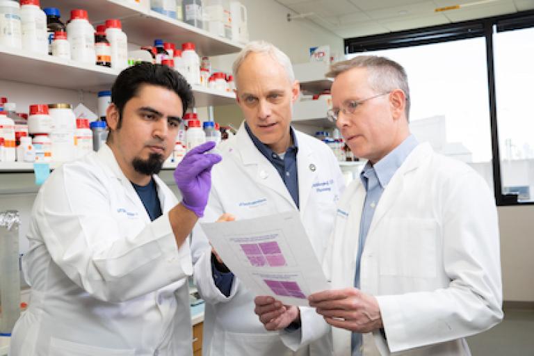 Three researchers in lab, looking at slides