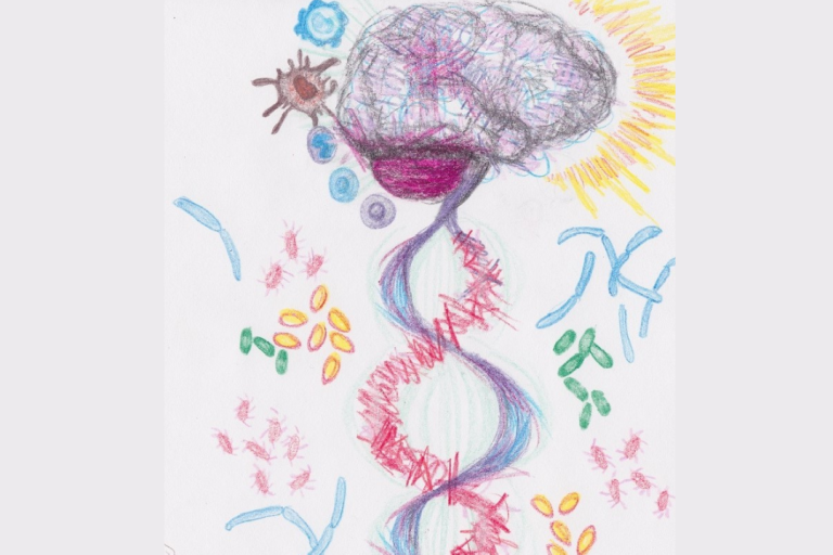 crayon drawing of brain and gut