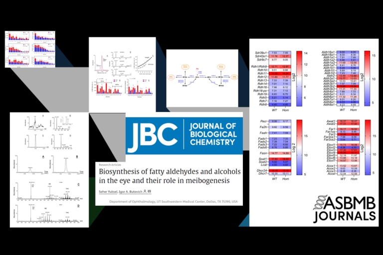Biosynthesis of fatty aldehydes and alcohols in the eye and their role in meibogenesis