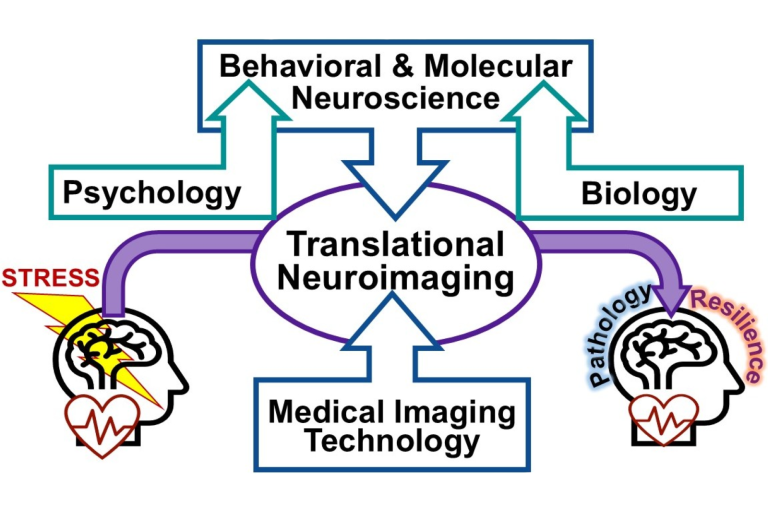 Flow chart showing Psychology and Biology inputting to Behavioral & Molecular Neuroscience. Behavioral & Molecular Neuroscience is then inputting with Medical Imaging Technology, converging on Translational Neuroimaging, which, in turn, is leading to discoveries that promote brain health and emotional well-being to enhance stress resilience and prevent stress-related psychopathology
