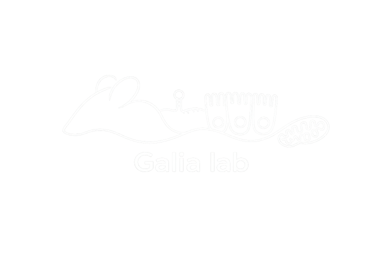 Placeholder alt tag