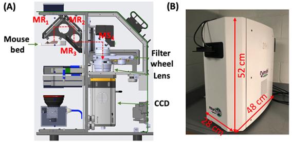 Optical Tomography-Guided Pre-Clinical Radiation Therapy | Biomedical ...