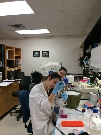 Benchwork Lab members at work
