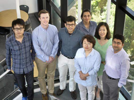 Photo Gallery | Mani Lab | UT Southwestern, Dallas, Texas