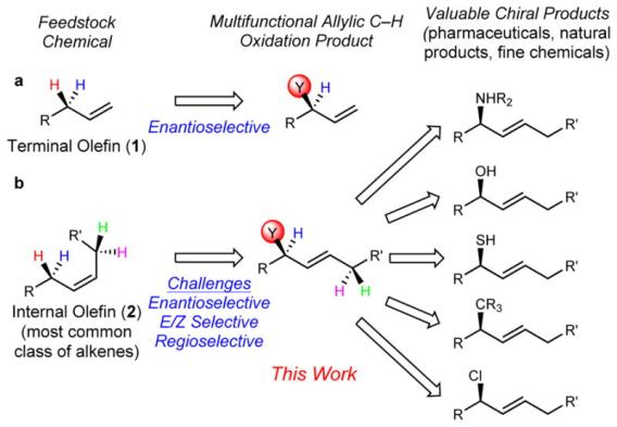 Catalytic allylic oxidation of internal alkenes to a multifunctional chiral building block
