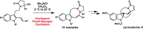 Development of the Vinylogous Pictet-Spengler Cyclization and Total Synthesis of (±)-Lundurine A