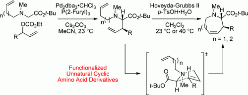 Stereoselective Synthesis of Functionalized Cyclic Amino Acid Derivatives via a [2,3]-Stevens Rearrangement and Ring-Closing Metathesis