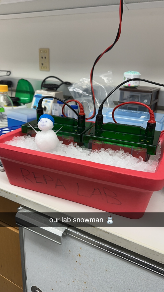 A small snowman with pipette tip arms and a conical cap hat sitting in an ice bucket with transfer boxes.
