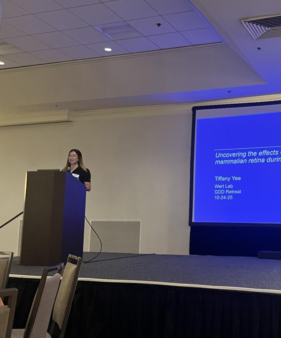 Tiffany Presentation October 2025