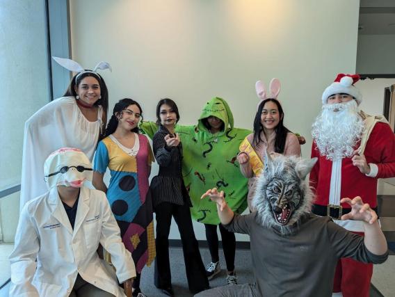 Nightmare Before Christmas Group Costume, Halloween 2024