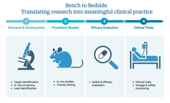 Diagram titled ‘Bench to Bedside: Translating research into meaningful clinical practice’ showing four sequential stages: Research and Development with a microscope icon and bullet points for target identification, in vitro screening, and lead identification; Preclinical Studies with a mouse icon and bullet points for in vivo studies and toxicity testing; Efficacy Evaluation with a magnifying glass and pill icon and a bullet point for safety and efficacy evaluation; and Clinical Trials with a hospital bed icon and bullet points for clinical trials and dosage and safety monitoring.
