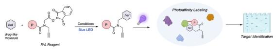 Recent advances in the synthesis of substituted morpholines