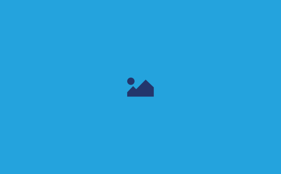 Blue house logo