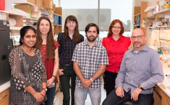 Conrad Lab team in lab