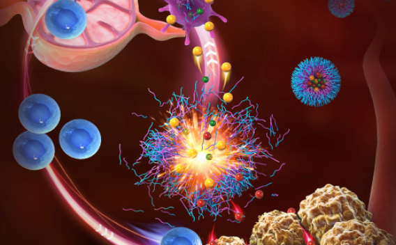Nano Immuno Oncology enlargement