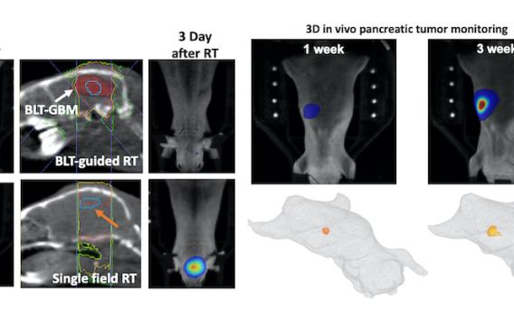 Lab research X-rays