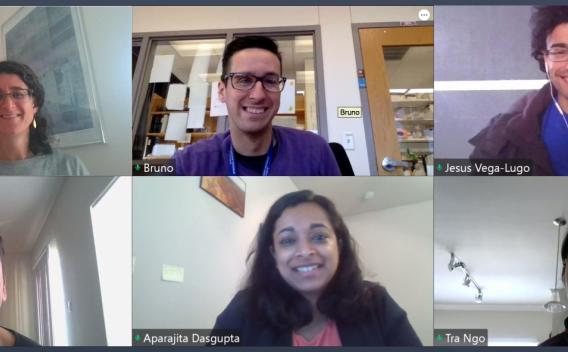 Lab group meeting virtually