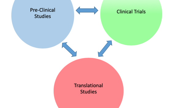 Hannan Lab studies infographic