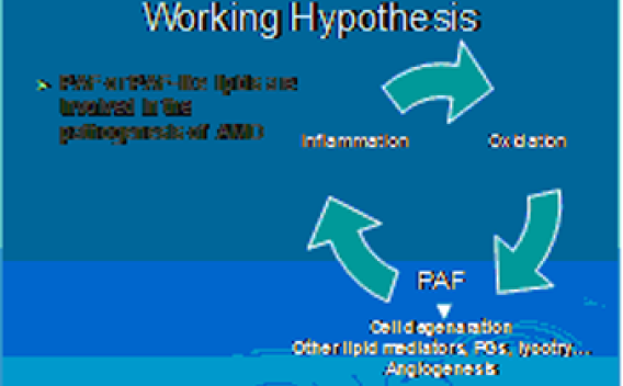 Working hypothesis