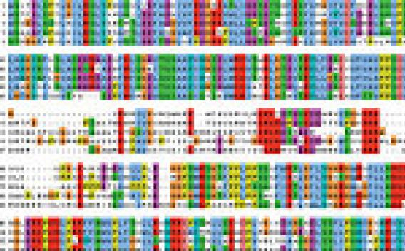Multicolor technical diagram