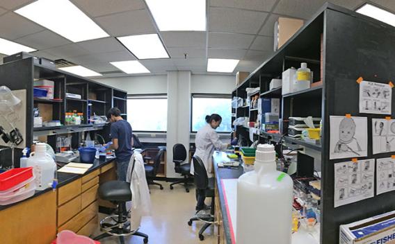 McFadden Lab at UTSW