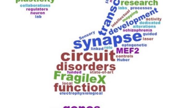 Scientific terms in a variety of colors, grouped in the shape of a question mark