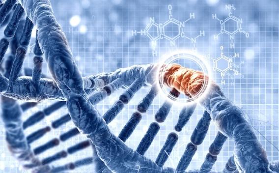 kinases