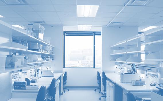 Zhao Zhang Lab