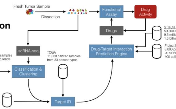 Algorithmic Therapeutic Oncology Flowchart